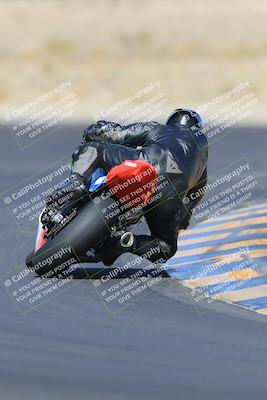 media/May-13-2023-SoCal Trackdays (Sat) [[8a473a8fd1]]/Turn 11 Backside (945am)/